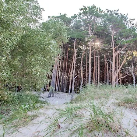 Japandi Style Luxury Penthouse * Palanga