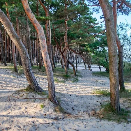 Apartamento Japandi Style Luxury Penthouse *