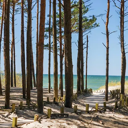 Apartamento Japandi Style Luxury Penthouse