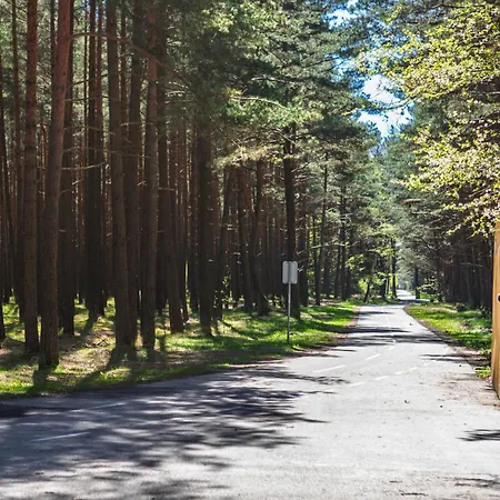 Japandi Style Luxury Penthouse