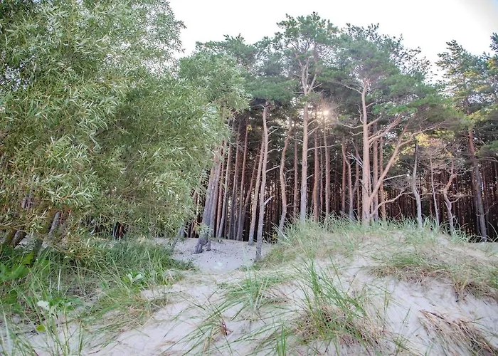 Japandi Style Luxury Penthouse * פלאנגה