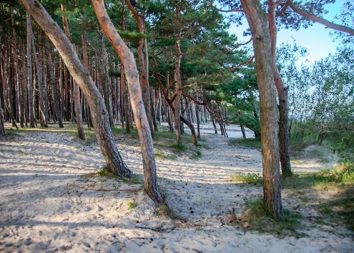 דירה Japandi Style Luxury Penthouse *