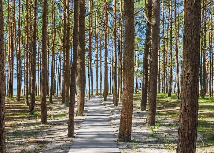 Japandi Style Luxury Penthouse פלאנגה