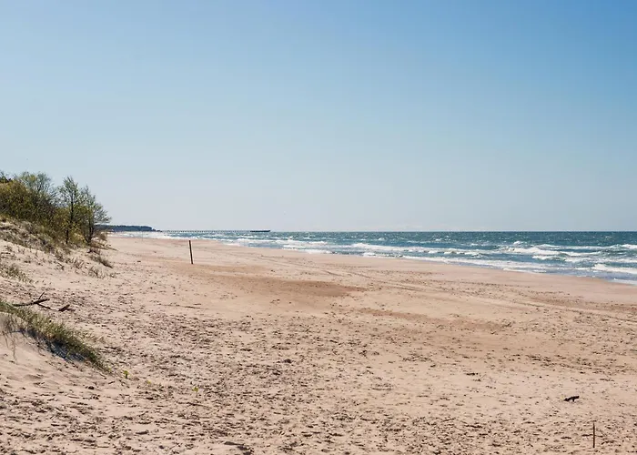 Japandi Style Luxury Penthouse *