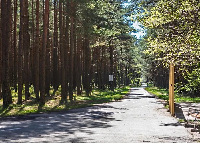Japandi Style Luxury Penthouse
